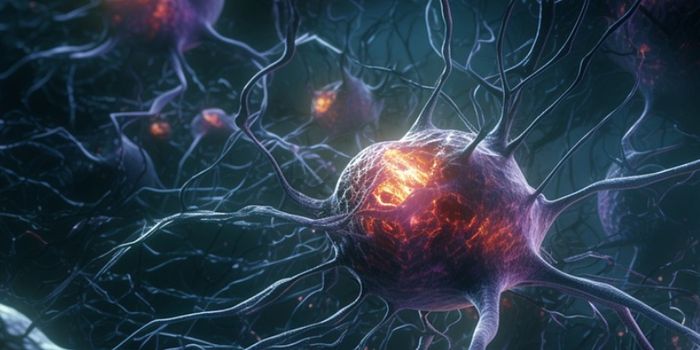 How a Beneficial Genetic Mutation Can Offset Alzheimer's Predisposition