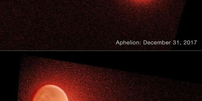 The Fate of Water on Mars: New Findings from Hubble and MAVEN Missions