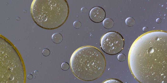 Understanding Gut Neurons' Reaction to Allergens, Parasites