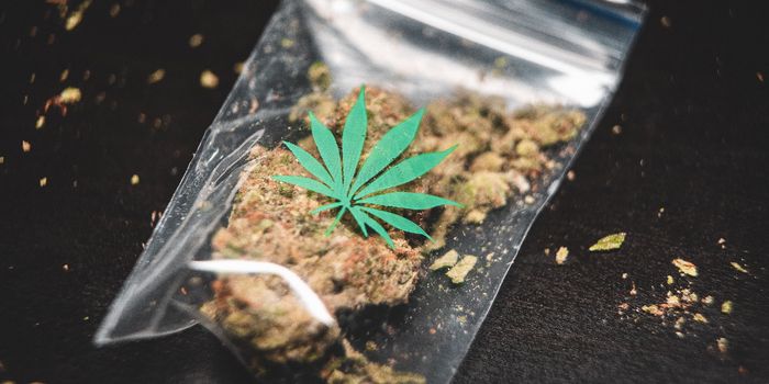 Huge Canadian Market Suggests How Useful Cannabis can Be for Veterans