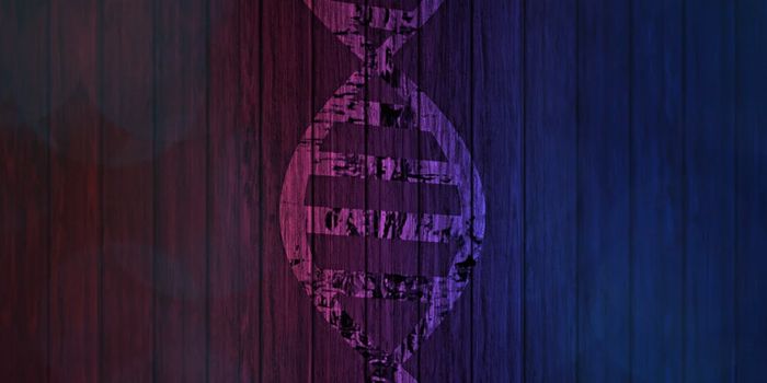 A New Tool for Evaluating Millions of Genetic Sequences at Once