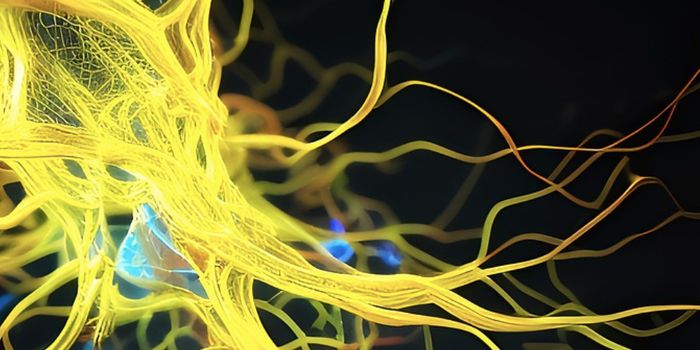 New Biomarkers Diagnose Neurodegenerative Diseases or Predict Likely Alzheimer's Patients