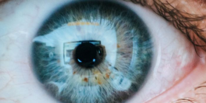 How Stress Reprograms Cells