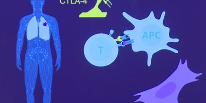 Let's Cut the Brakes on the Immune System