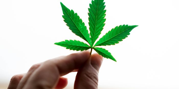 Cannabis Initiation Associated With Significant Reductions in Anxiety and Depression