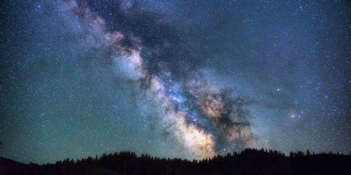 What Twin Galaxies Can Teach Us About Our Own