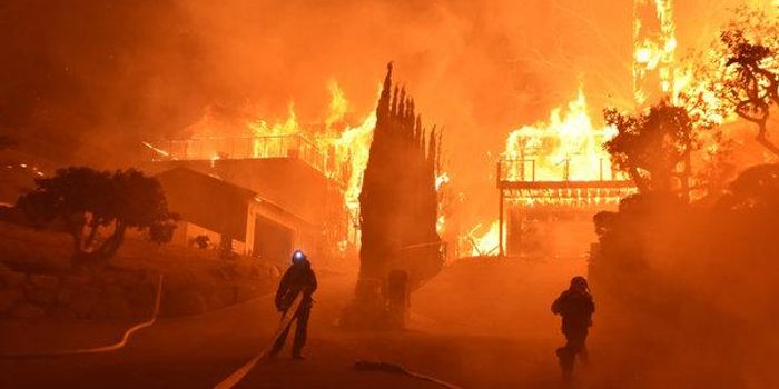 What will rain mean for California's Camp Fire?