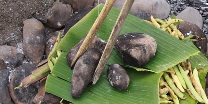 Western guts have lower bacterial diversity