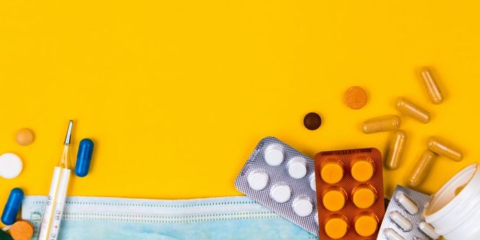 Potential Therapy for The Dengue Virus