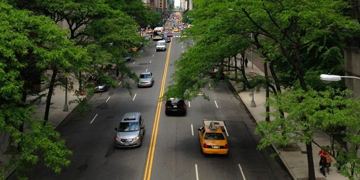 Tree Growth Acceleration is More Noticeable in Urban Areas