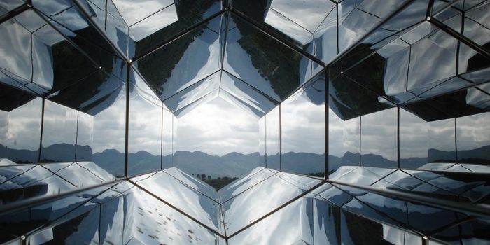 Do Mirror Neurons Help Us Feel Empathy?