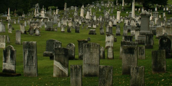 Losing a Loved One Advances Aging on the Epigenetic Clock