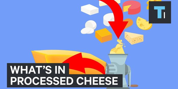 Like Velveeta Cheese? Here's What's Really in it