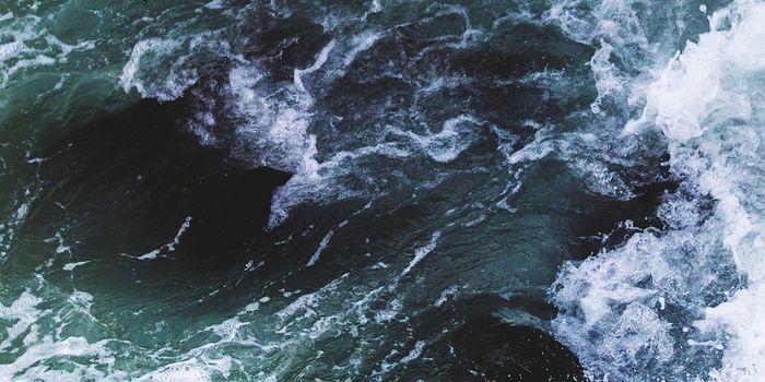 Clam Shells Reveal Details About Little Ice Age