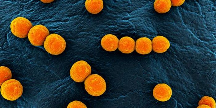 The curious case of PANDAS