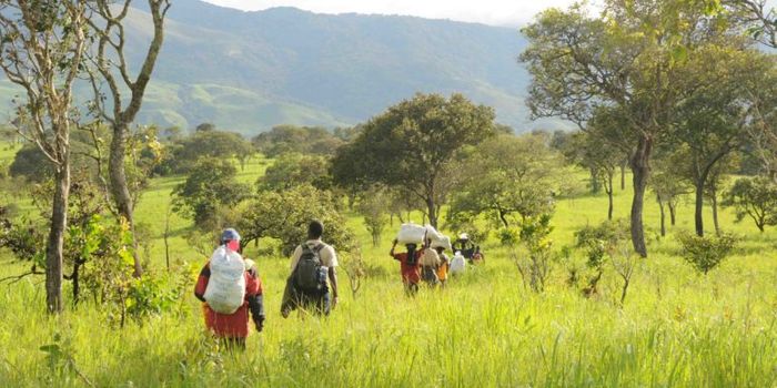 Democratic Republic of Congo Creates New Nature Reserve