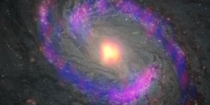 A Calm Surrounding The Storm