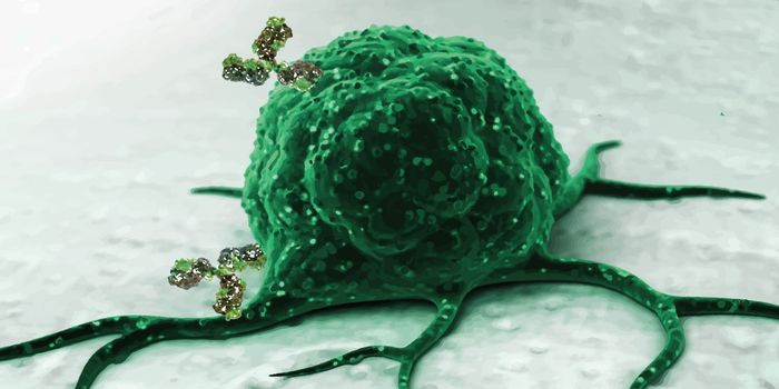 Emerging Drug Targets in Cancer Immunotherapy