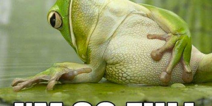 Scripps Florida Scientists Find Surprising Answers to ‘Food Coma' Conundrum