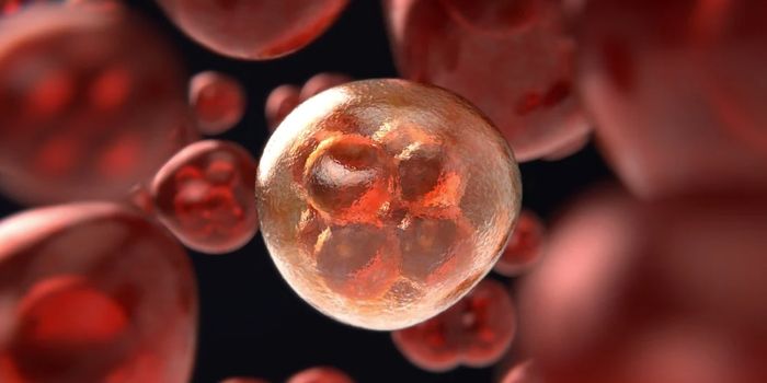 Investigating the Links Between Viruses and Cancer