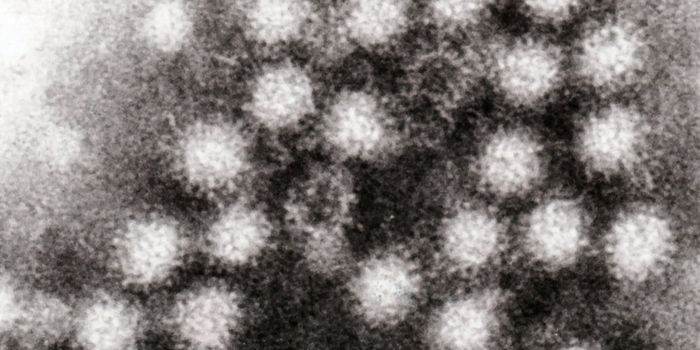 Airborne Transmission of Norovirus