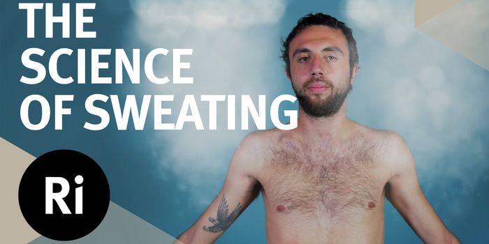 How Sweat Works and Ways to Stay Cooler in the Summer
