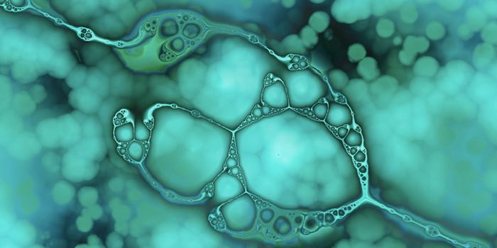 Researchers Discover a Driver of Neuroinflammation in ALS & Dementia