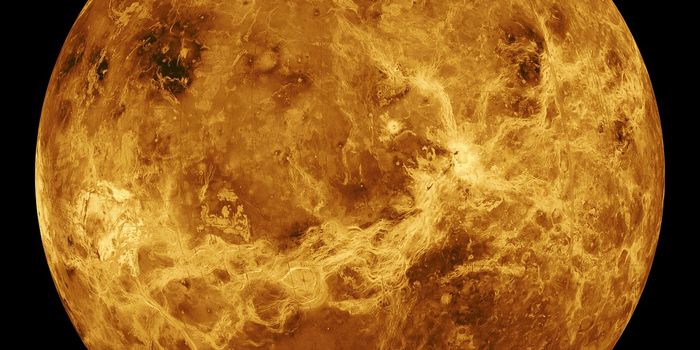 Scientists Dig Deeper to Learn More About Venus' Atmospheric Superrotation