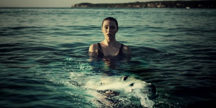 Why Are Shark Attacks on the Rise in Western Australia?