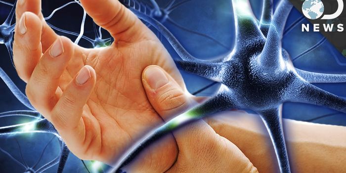 Why Nerve Cells Don't Always Regenerate