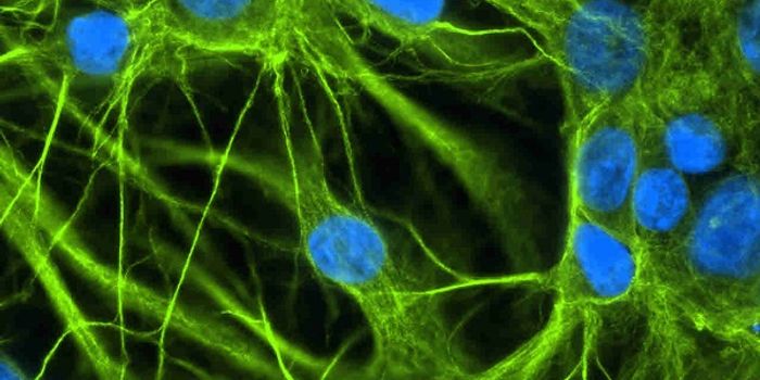 Mechanism May Help Parasites Manipulate Their Hosts