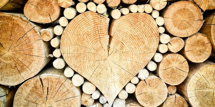 Is GDF-15 a Valuable Biomarker for Congestive Heart Failure?