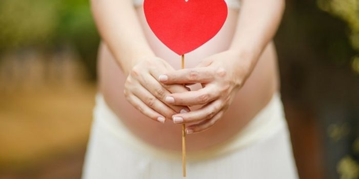 What Pregnancy Does to the Brain