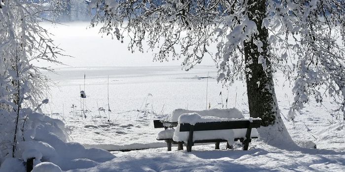 Seasonal Illness - Is the Sun Involved?