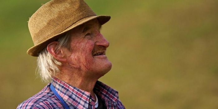 Marijuana, Memory and Mature Mice