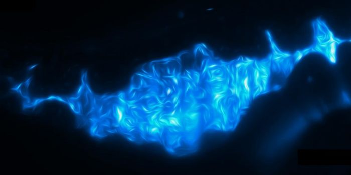 Muscle Contractions Influence gut Microbiome Competition