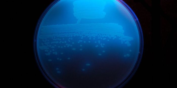 Picturing a New Kind of Antibiotic