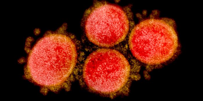 SARS-CoV-2 Can Infect Fat Cells, Promoting Infection & Inflammation