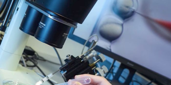 Nanoparticle-based Gene Therapy Cures Disease in Fetal Mice