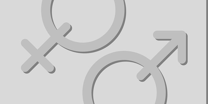 Females More Prone to Disease Due to Key Immunological Difference