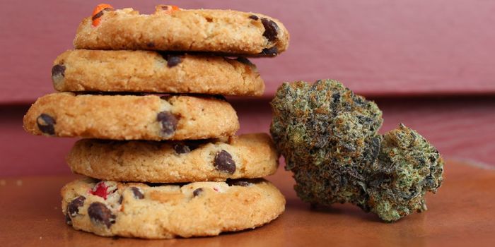 Nope, Marijuana Does Not Cure COVID-19