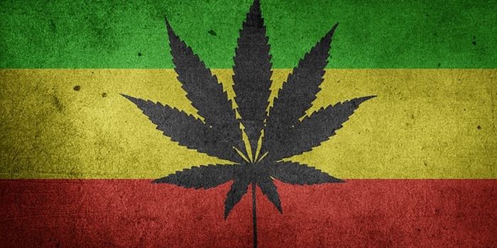 What is the Connection Between Rastafarianism and Marijuana?