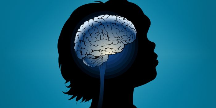 The Link Between Maternal Inflammation and Autism