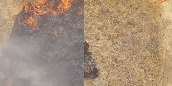 Technology That Prevents Wildfires