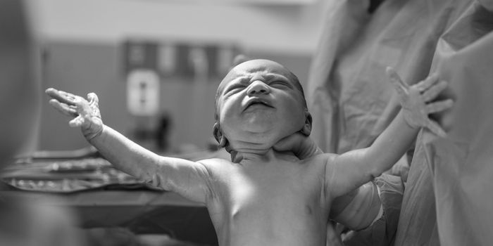 Scientists Discover Bacterial Life on Human Fetuses