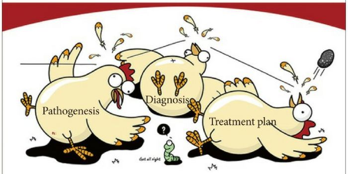 The Rise of Theranostics