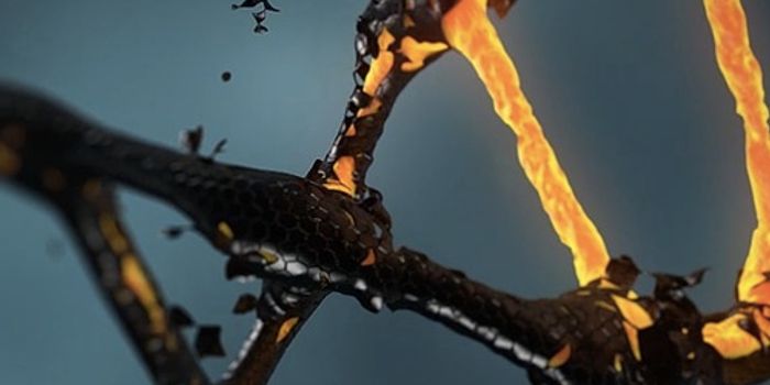 Cause of Gender Differences in Neurodevelopmental Disorders is ID'ed