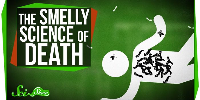 The Science Behind Death