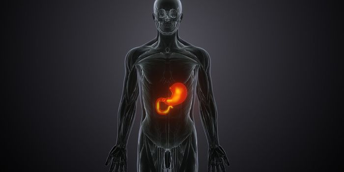 Arginine Facilitates Metabolic Reprograming to Promote Liver Cancer Growth