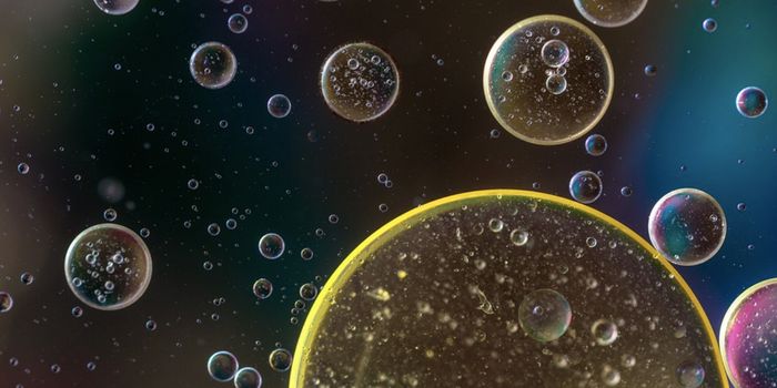 A Mutation That Enables Bacteria to Resist Phages